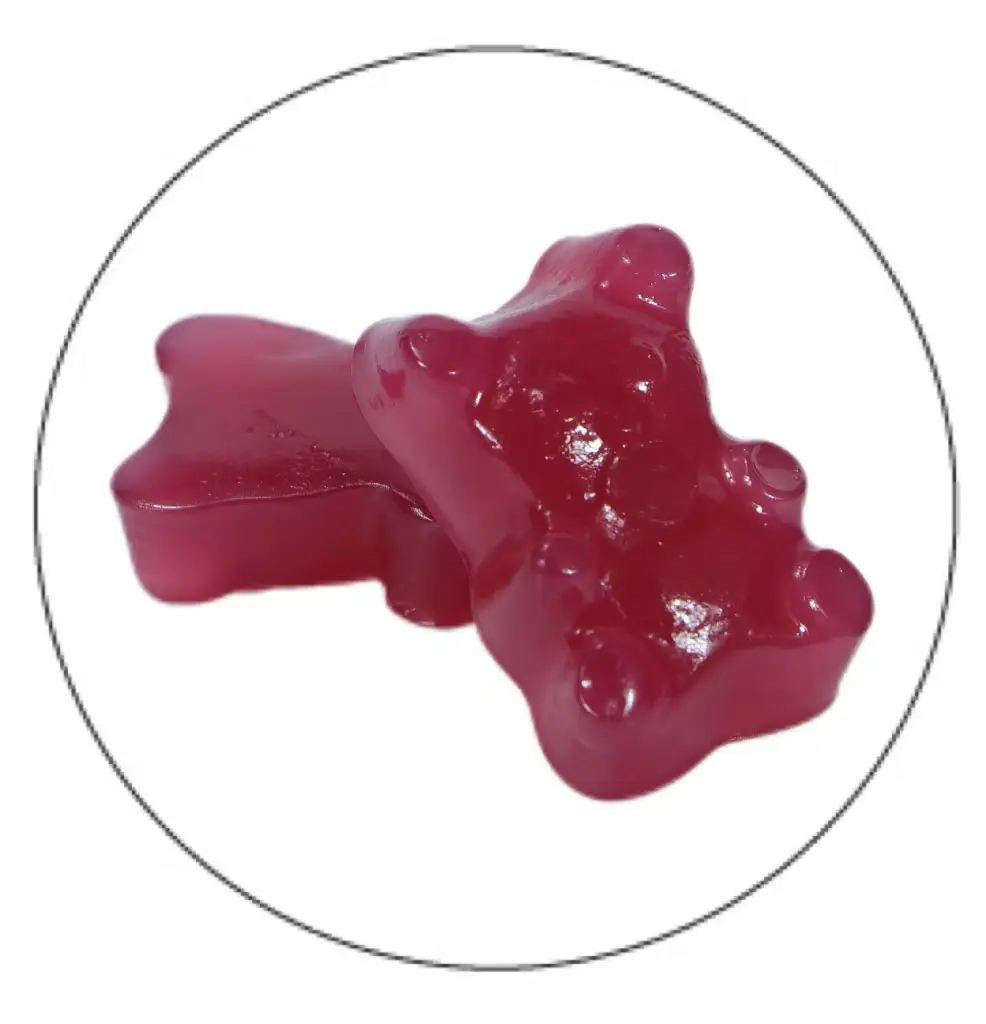 top gummy manufacturers