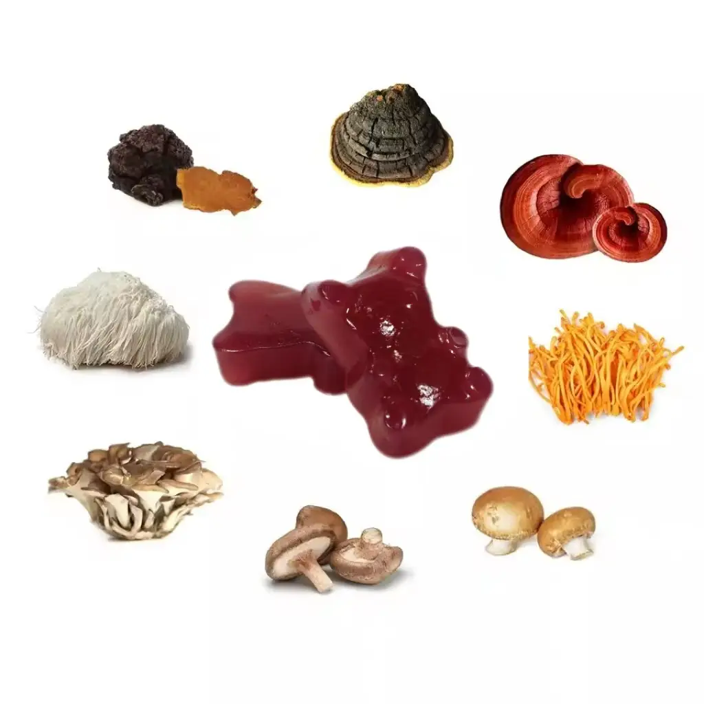 Mushroom Gummies
